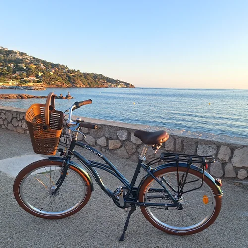 Vélo classique femme VTC